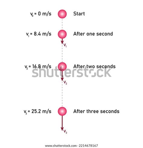 Image result for Free Fall Experiment Physics