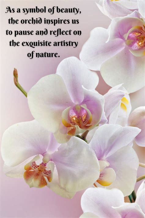 63 Unique Orchid Quotes To Help You Bloom - Darling Quote