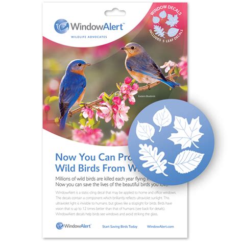 WindowAlert Bird Window Decal - Prevent Bird Window Strikes (5 decals ...