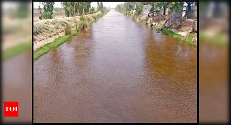 Amritsar: Sirhind canal water turns dark; DC warns against its use ...