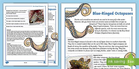 Image result for Animal Fact Files Blue-Ringed Octopus