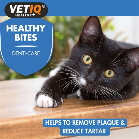 Vetiq Healthy Bites Denti-Care For Cats & Kitten – ShakeHands