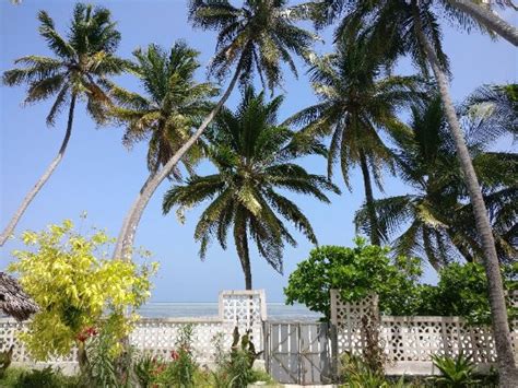 LEO'S HIDE AWAY (Zanzibar Island/Bwejuu) - Guesthouse Reviews & Photos ...