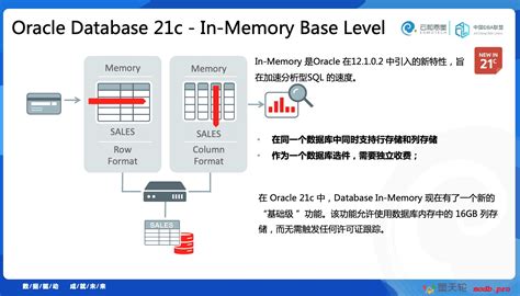 Features of Oracle Database 21C 的图像结果