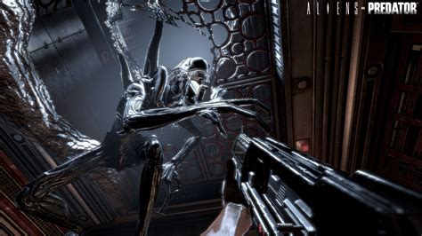 Image result for Alien vs Predator Full Gameplay