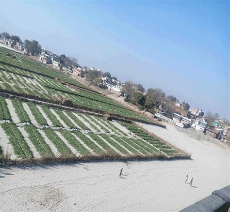 Welcome to Shuklaganj