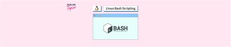 Linux Bash Scripting 的图像结果