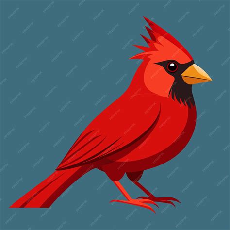 Cardinal Bird Clip Art Vector Illustration Design | Premium AI ...