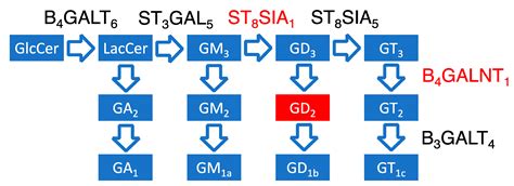 RNA Sequencing-Based Identification of Ganglioside GD2-Positive Cancer ...