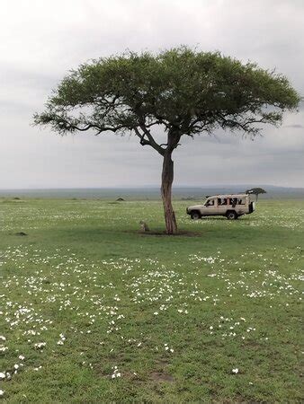 Native Afrika Voyages - Nairobi | Tripadvisor