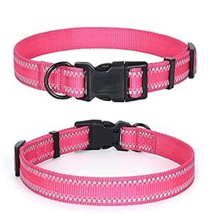 Buy Mile High Life | Nylon Night Light Glow Collar for Medium Dogs ...