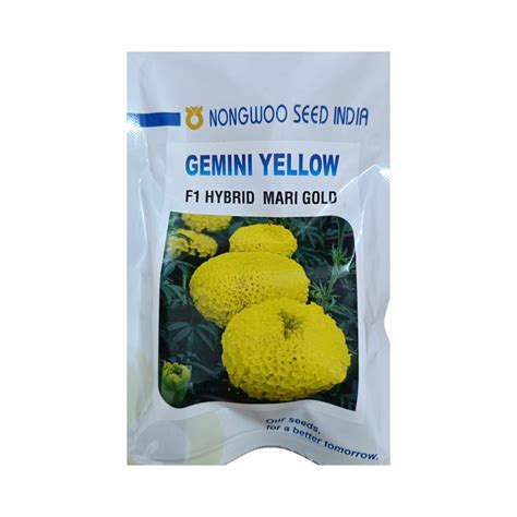 Gemini Yellow Marigold Seeds - Nongwoo | F1 Hybrid | Buy Now – Desikheti