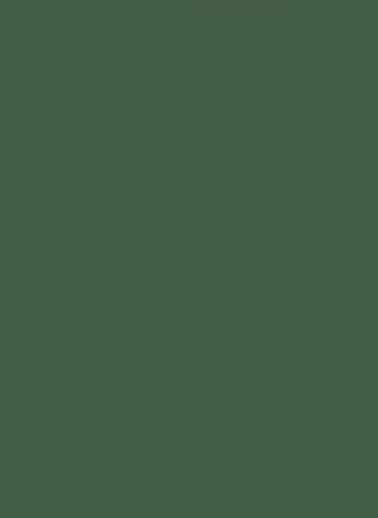 Buy Forest Green - 22293 - - at low price - Merino Laminates Dealer ...