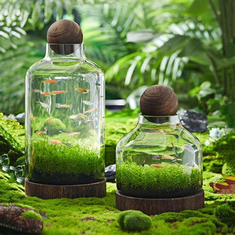 XWNGDAFEVF Ecological Aquarium Fish Tank Glass Bottle with India | Ubuy