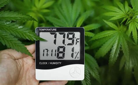 Image result for Humidity Grow Tent
