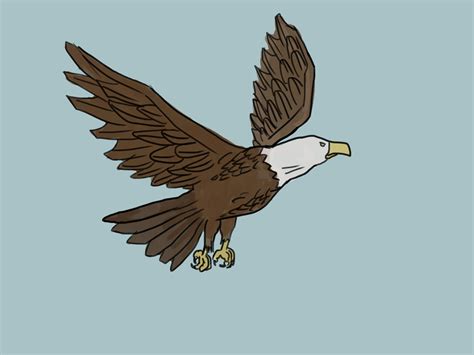 4 Ways to Draw an Eagle - wikiHow
