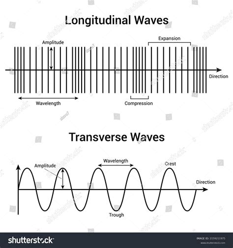 Compressional Wave Diagram