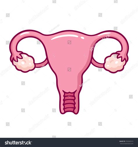 Simple Uterus Diagram