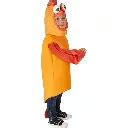 Golden Fish Costume | My Website