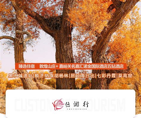7-Day Autumn Populus Euphratica Forest Tour: Zhangye to Dunhuang via ...