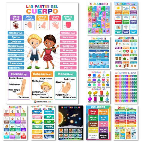 12 Spanish English Bilingual Educational Posters Water Proof Learning ...