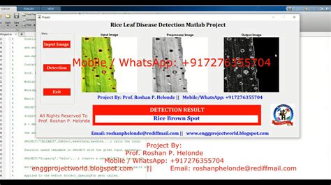 Image result for Plant Disease Detection MATLAB Source Code