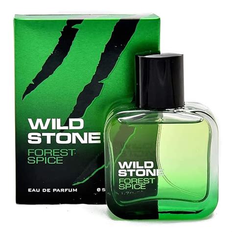 Buy Wild Stone Forest Spice Eau De Parfum For Men, 100ml Online at Low ...