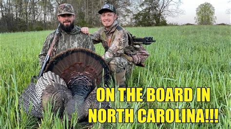 Best Public Land Turkey Hunting In North Carolina at Odessa Anderson blog