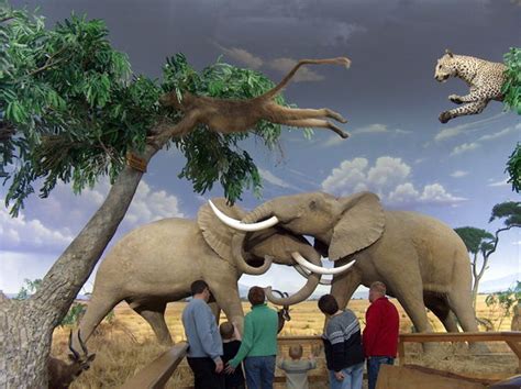 Kansas City Tourism (2024): All You Need to Know Before You Go