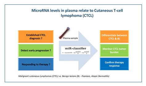 Plasma miR-155, miR-203, and miR-205 are Biomarkers for Monitoring of ...