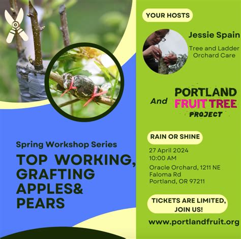 Spring Workshop Series: Top working, Grafting Apples and Pears — Portland Fruit Tree Project