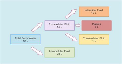 Image result for Transcellular Fluid
