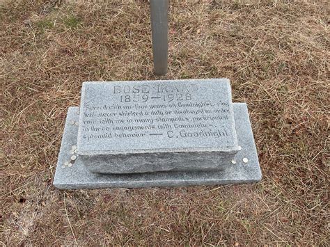 Erik Visits an American Grave, Part 1,257 - Lawyers, Guns & Money