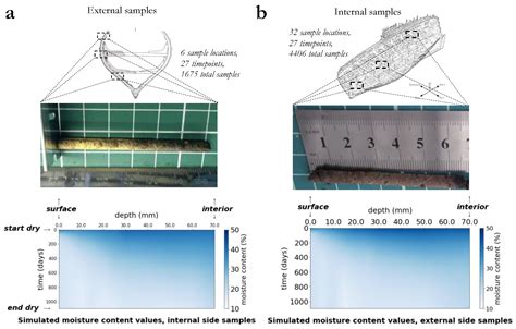 Numerical Modelling of Moisture Loss during Controlled Drying of Marine ...
