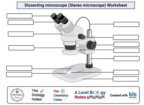 Microscope Labeled Parts 的图像结果
