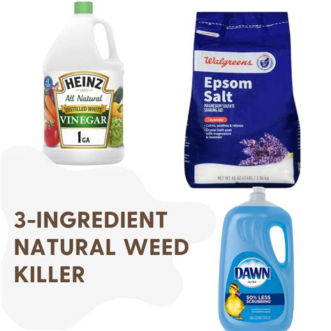 Natural Weed Killer Recipe – Weed Killer Recipe With Vinegar – JJNU
