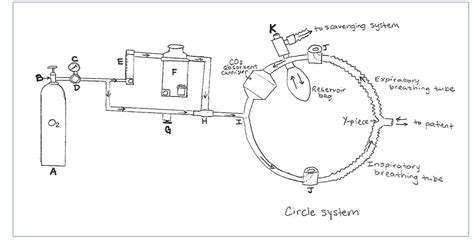 Anesthesia Maintenance 的图像结果