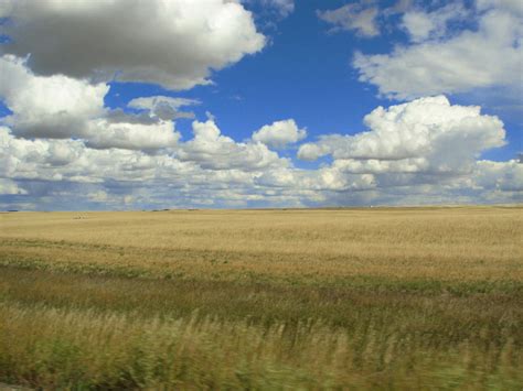 What Does The Great Plains Look Like: Landscapes and Wildlife