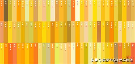 黄色有多少种颜色分别叫什么，中国传统黄色色谱96色-万网时代