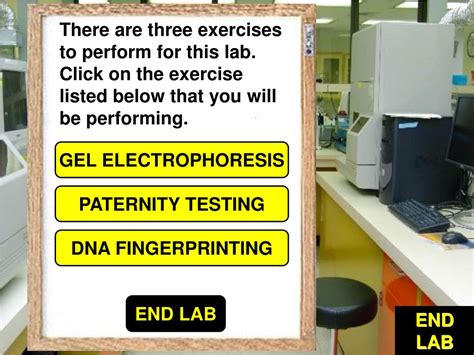 DNA Fingerprinting Examples 的图像结果
