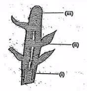 label the following and give 1 function of each part labeled 1 2 3 ...