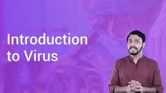 Basic Knowledge of Viruses | Definition, Examples, Diagrams