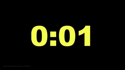 1 Second Timer Challenge 的图像结果