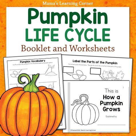 Pumpkin Life Cycle Worksheets and Booklet - Mamas Learning Corner ...