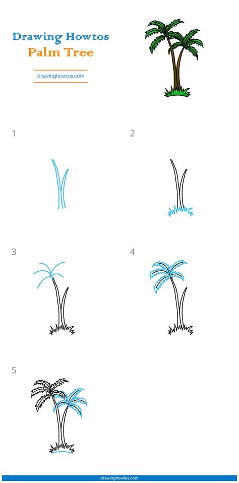 How To Draw A Palm Tree Step By » Linehouse