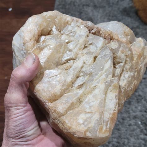 Kay jenkins mustache. : r/InfluencerSnark