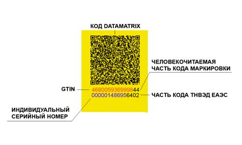 Маркировка одежды и текстиля в 2025 году