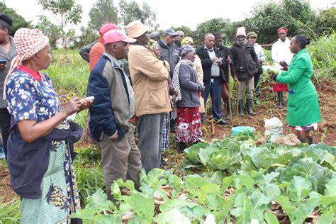 Agricultural Extension Services: The Missing Link in Kenya’s Economic ...