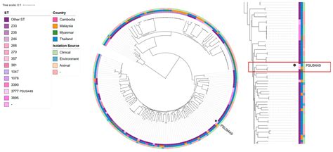Comprehensive Genomic Analysis of Pseudomonas aeruginosa PSU9449 ...