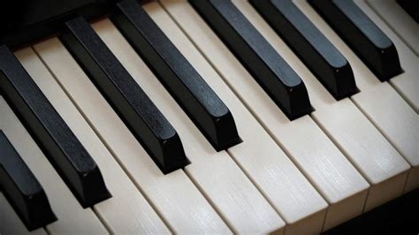 Blog Details | EHF - Learning Management System